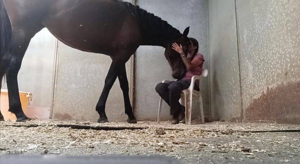 A young person seated beside a horse in a barn stall during an equine experience.