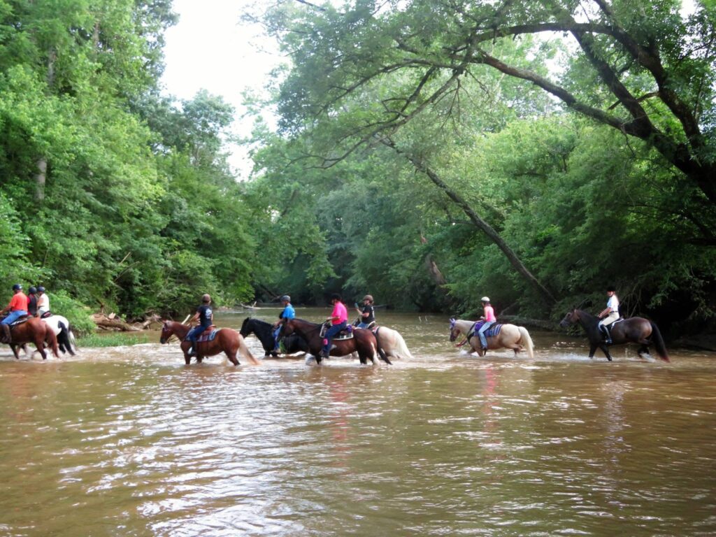 A group of riders on horseback crossing a shallow river beneath overhanging trees.