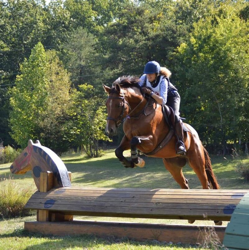 Linda Plummer riding a horse over a jump.