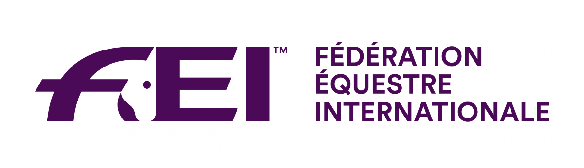FEI logo