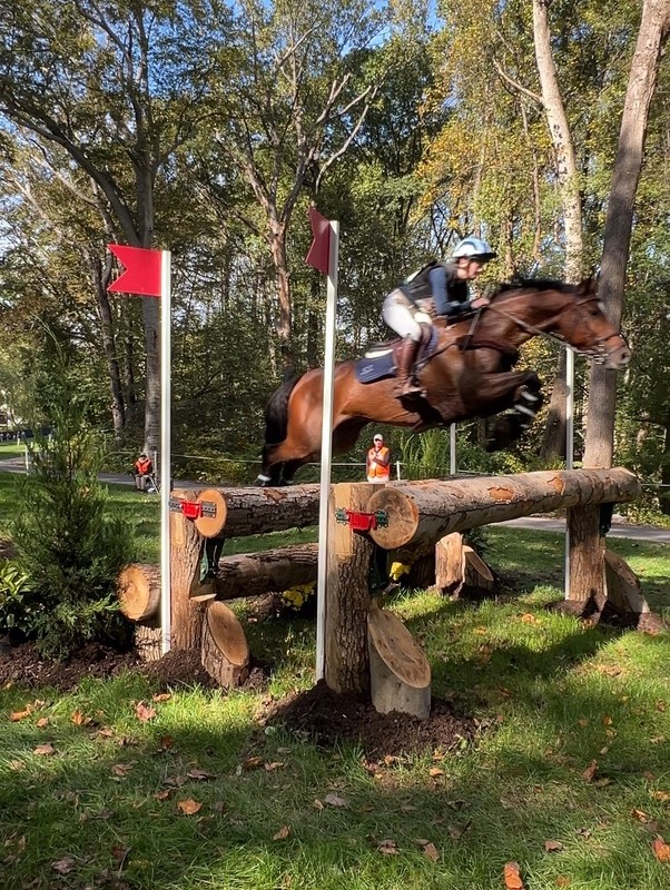 Horse and rider clearing a cross-country log fence.